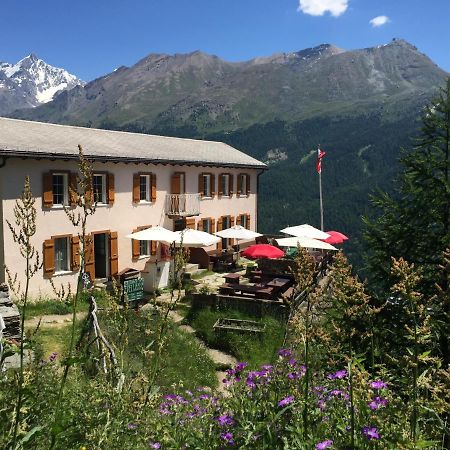 Edelweiss Mountain Guest House - 1 Hour Hike Up From Zermatt Station - On Hiking Trail - No Transport Dış mekan fotoğraf