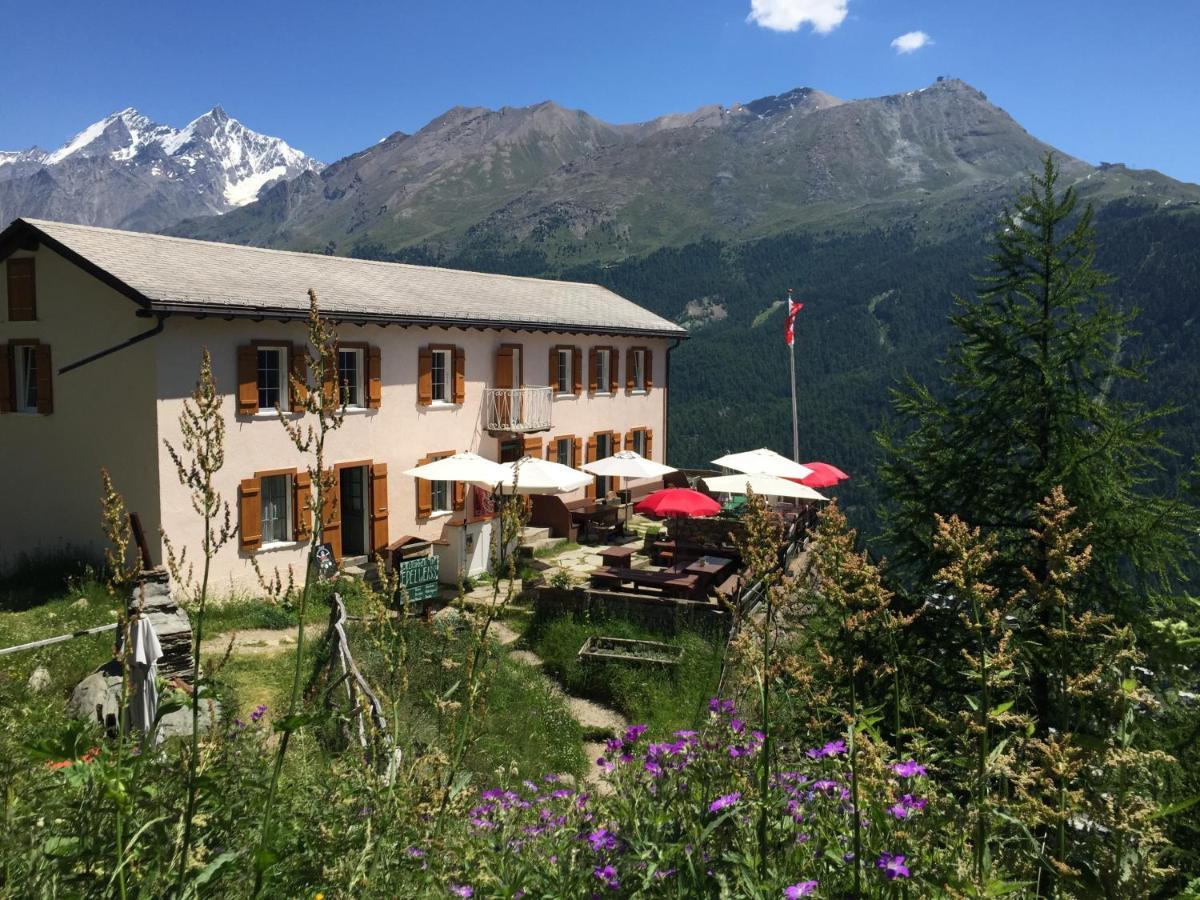 Edelweiss Mountain Guest House - 1 Hour Hike Up From Zermatt Station - On Hiking Trail - No Transport Dış mekan fotoğraf