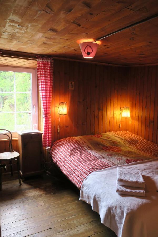 Edelweiss Mountain Guest House - 1 Hour Hike Up From Zermatt Station - On Hiking Trail - No Transport Dış mekan fotoğraf